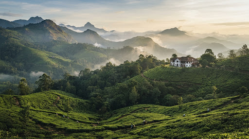 10-Day Highlights of Ceylon Scenic Ridge